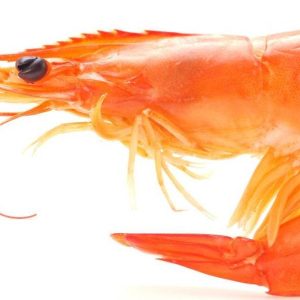 Crevette Rose Entière 1Kg