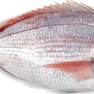 Pageot Chama Entier 1kg