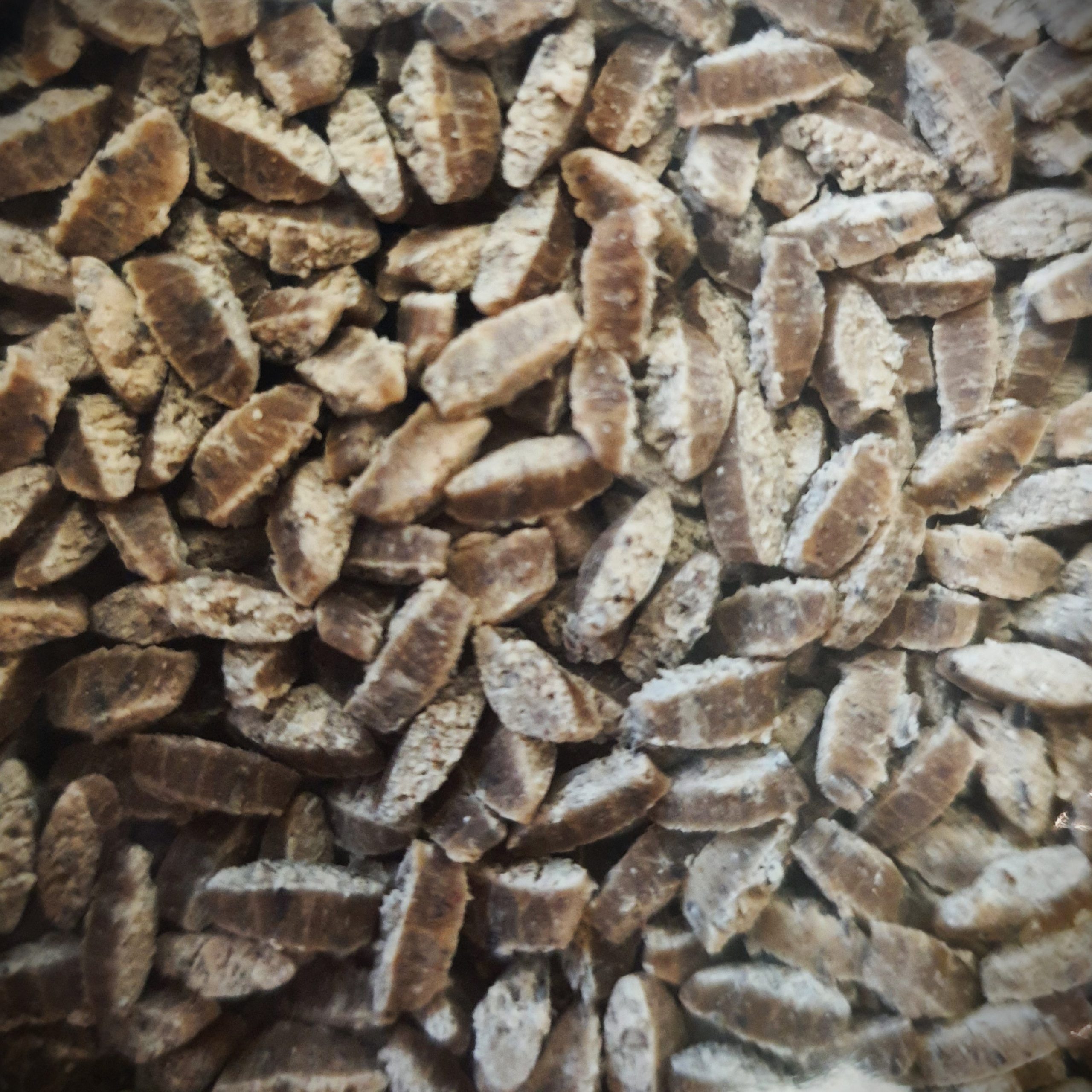 RISONI SARRASIN / POIS CHICHE (Sans gluten) Sachet 500g – Image 2