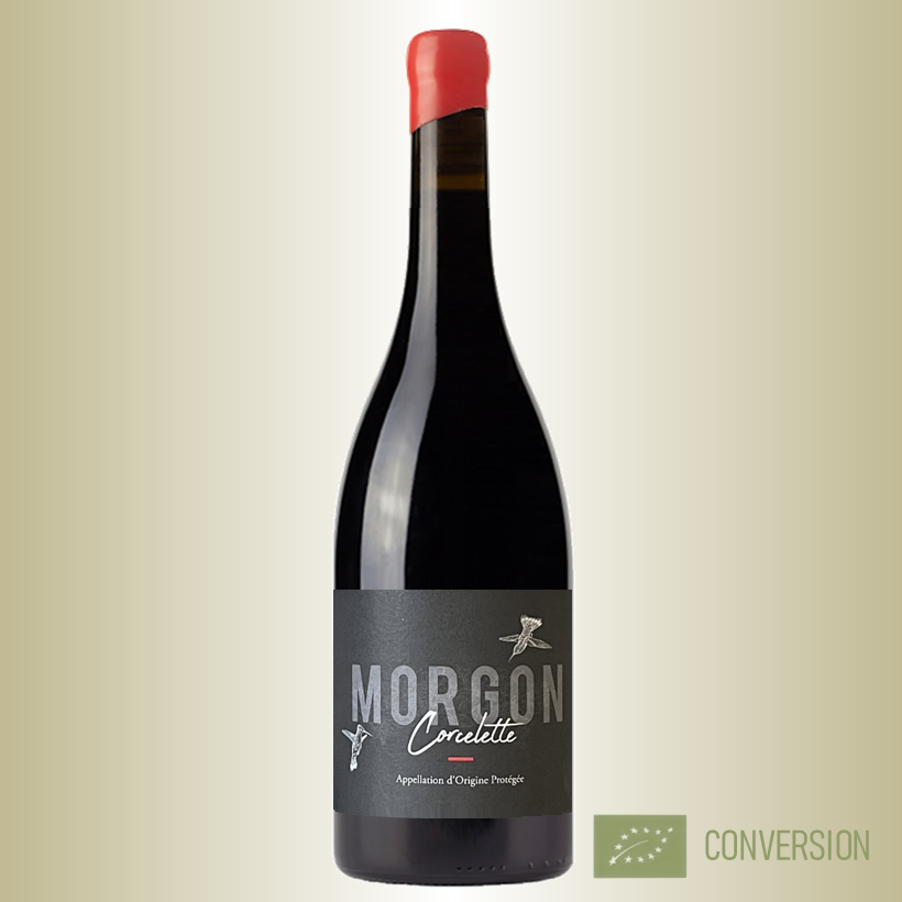 Thibault Ducroux Morgon Corcelette 2023
