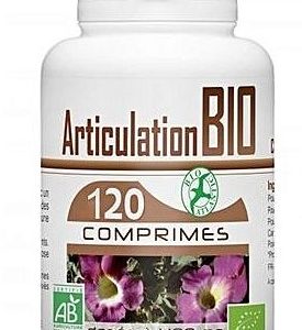 Gph Diffusion Articulation 400 Mg 120 Comprimés