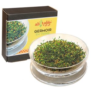Ecodis Ah Table Germoir en Verre