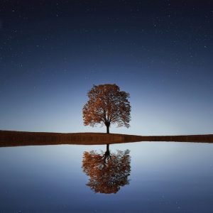 The Water is Wide (Fanfare)